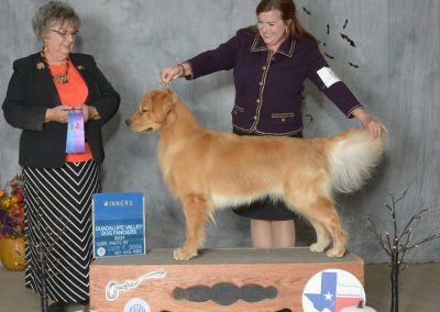 Woman in dark suit showing a dog on a pedistal getting an award