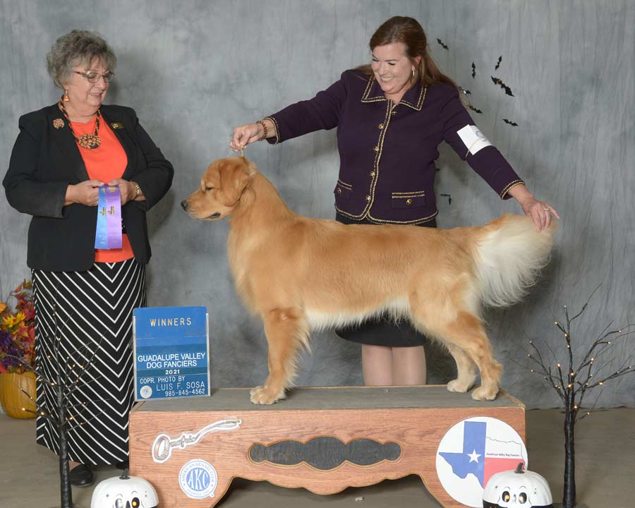 Woman in dark suit showing a dog on a pedistal getting an award