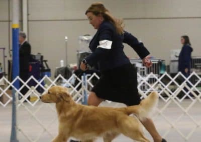 Woman in dark suit running with a golden retriever
