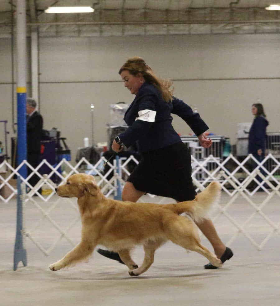 Woman in dark suit running with a golden retriever