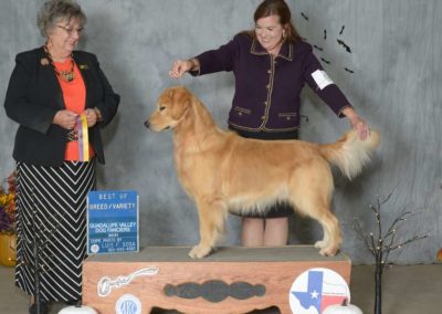 Woman in dark suit showing a dog on a pedistal getting an award