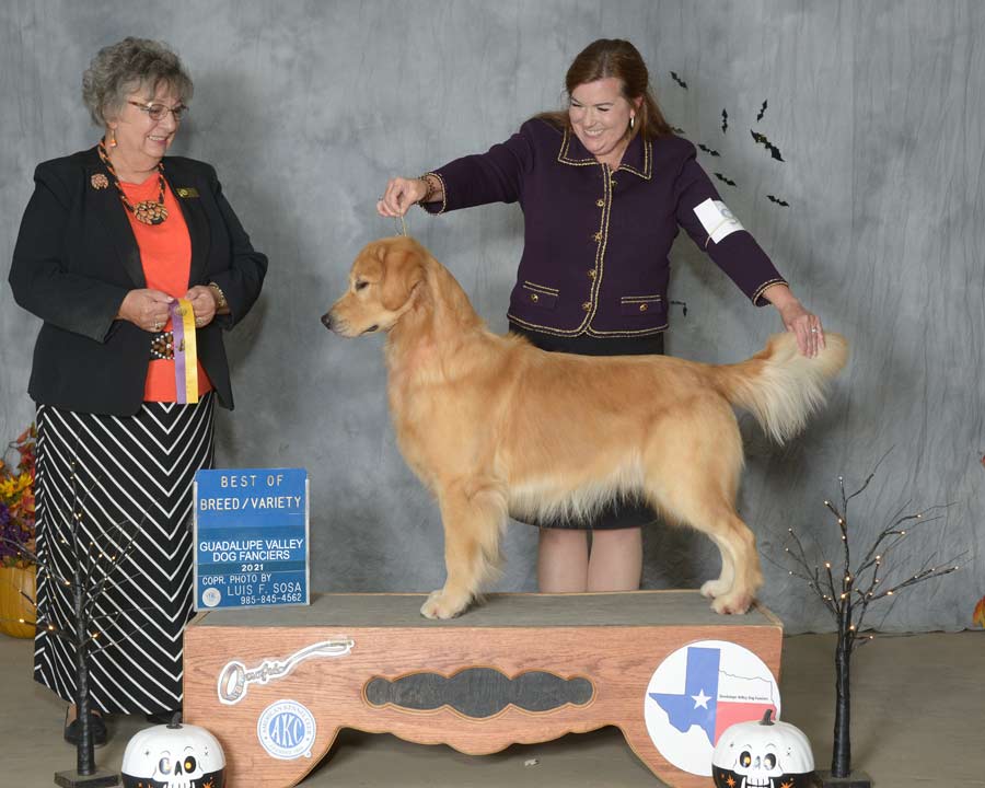 Woman in dark suit showing a dog on a pedistal getting an award