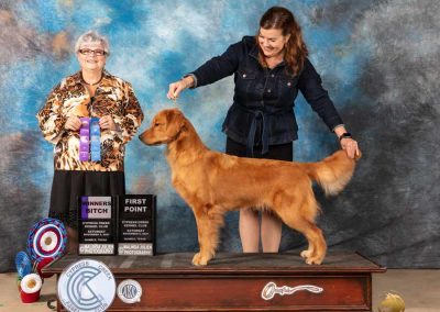 Woman in dark suit showing a dog on a pedistal getting an award