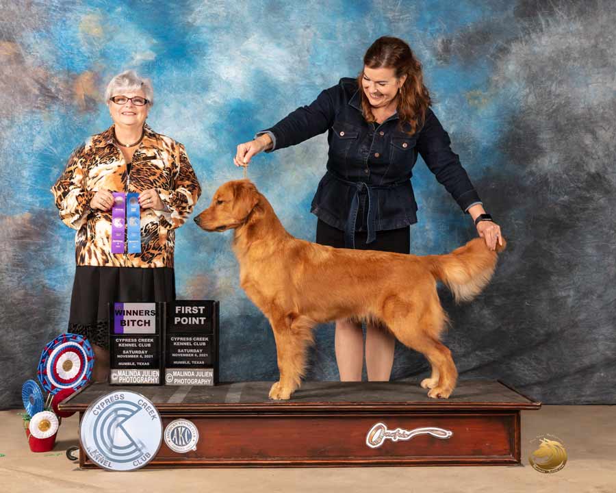 Woman in dark suit showing a dog on a pedistal getting an award