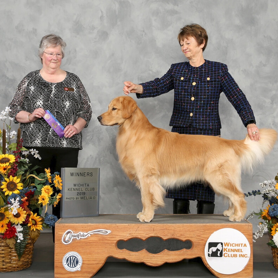 Colt - 2019 04 - Winners Dog handler Diane