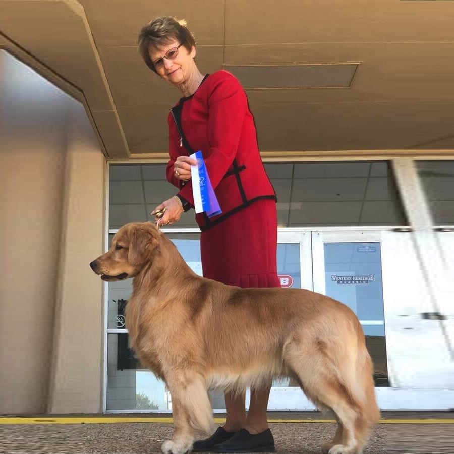 Colt - 2019-05 - Colt Best of Winners handler Diane