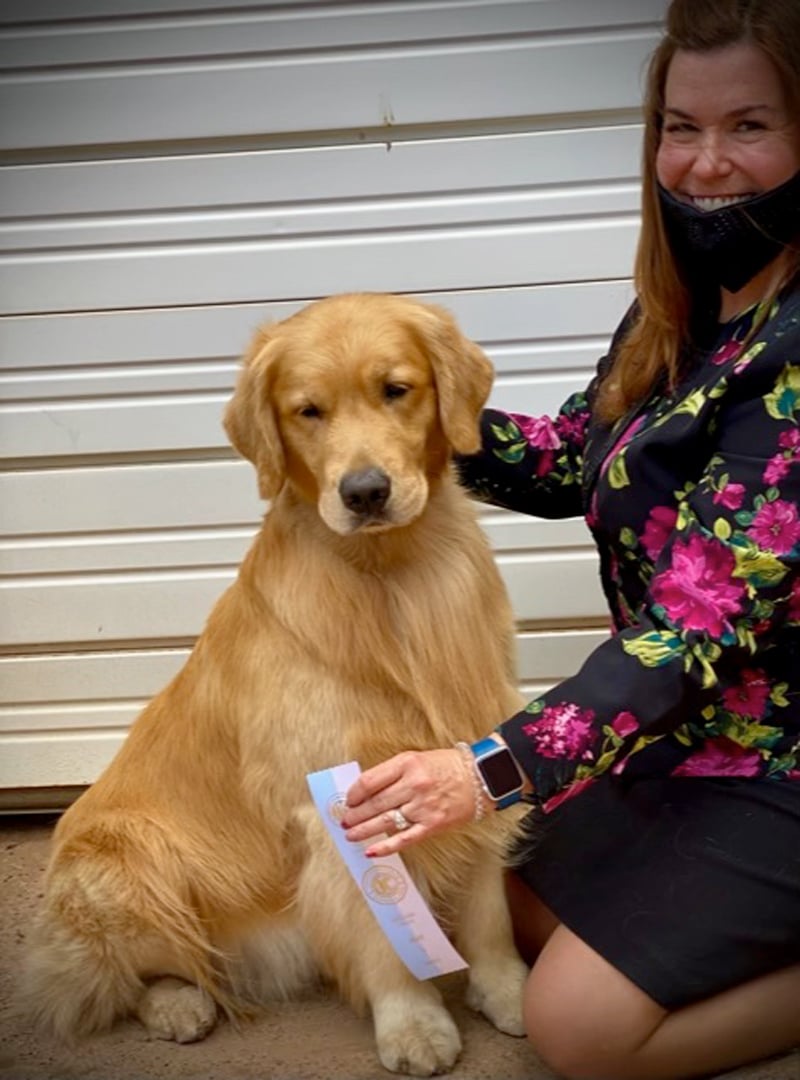 Woman holding a ribbon in front of a female golden retriever