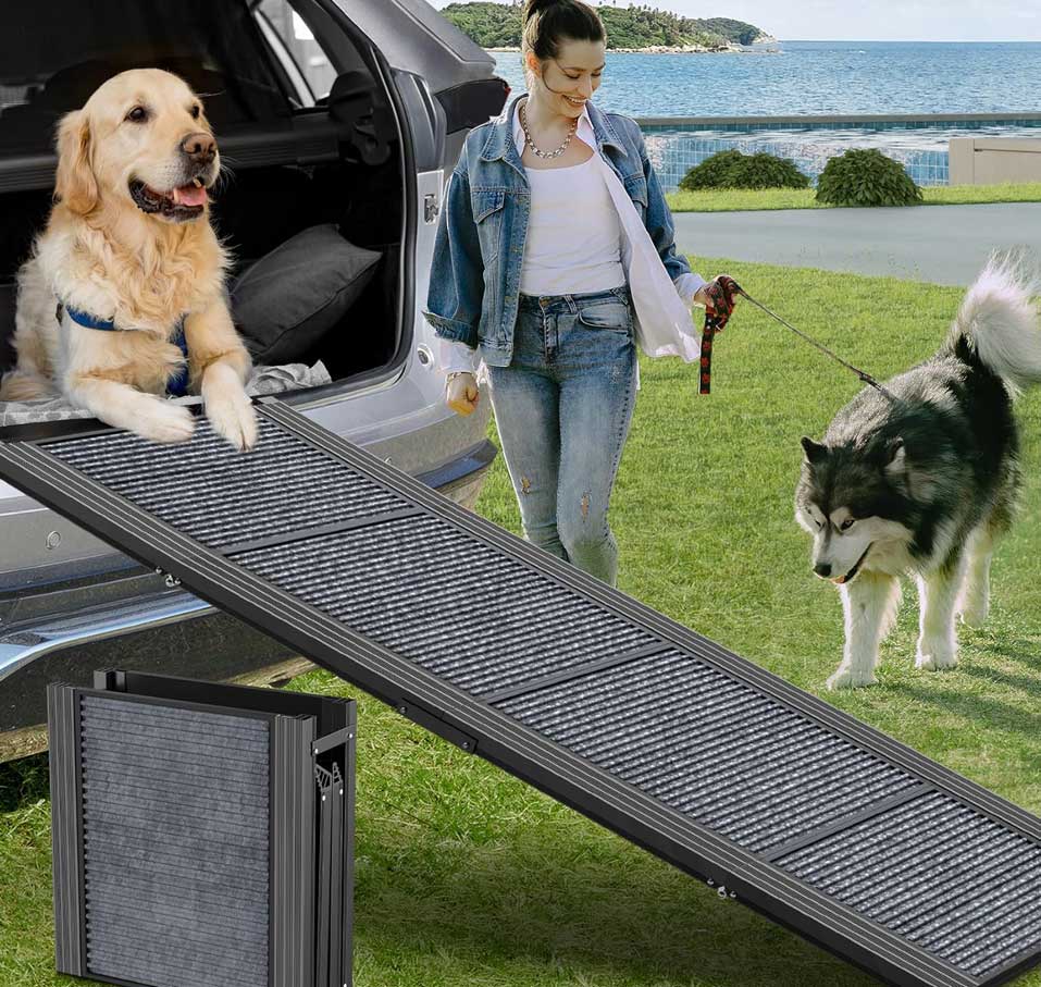 DOG RAMP
