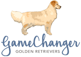 GameChanger Golden Retrievers