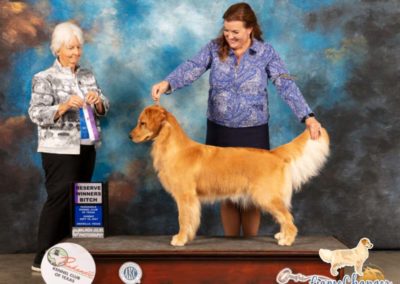 Gisele - 2021-09 wins Reserve Winner's Bitch (12 months) in Amarillo TX