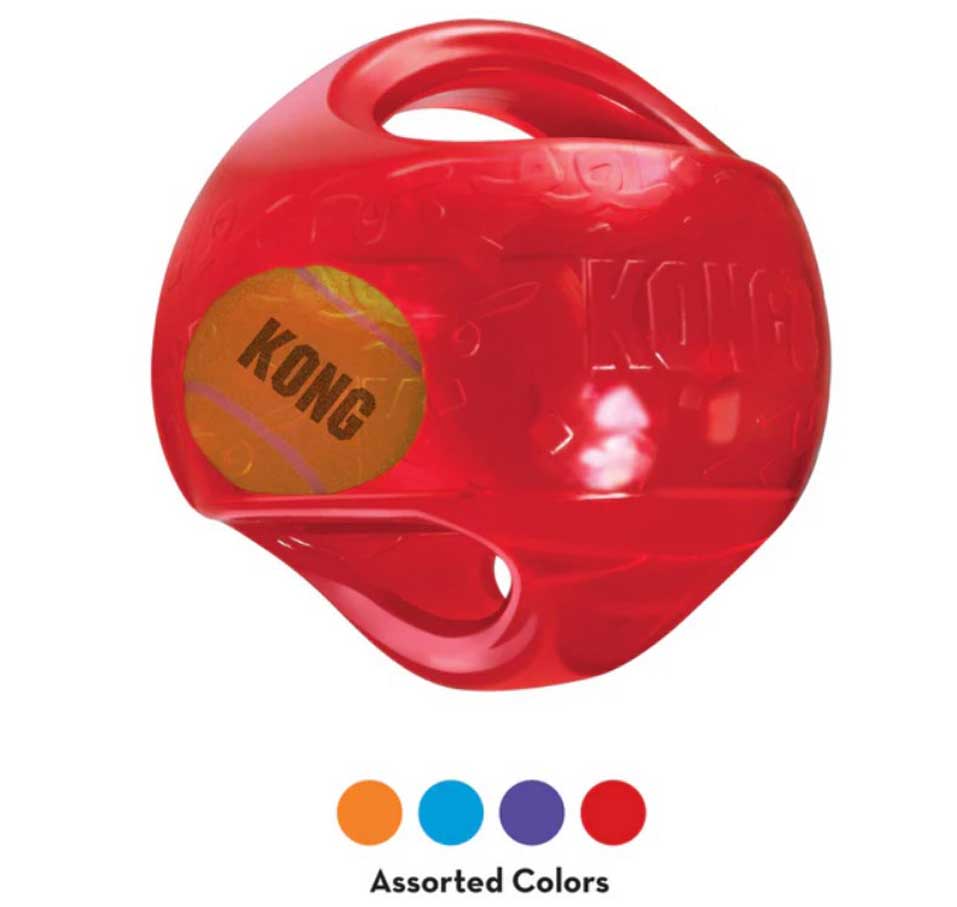 Kong Ball Toy