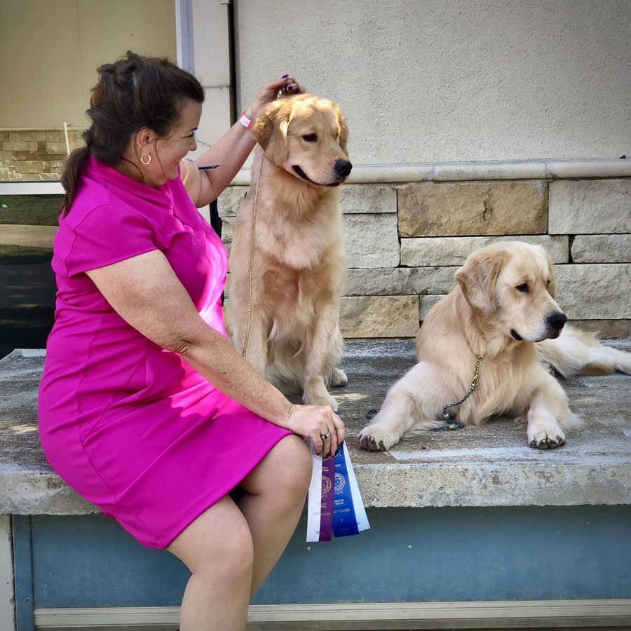 Woman in hot pink suit with ribbons and two golden retrievers