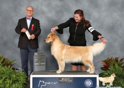 Monroe - 2021-07 - Best of Breed - Dallas TX (800x640)