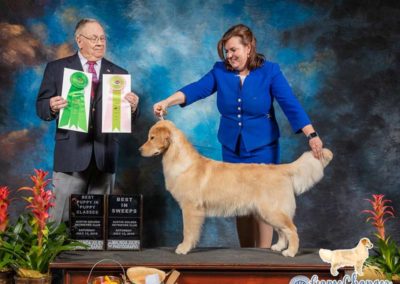 Monroe - GR - 2019-07-13 - Best In Puppy-Sweeps