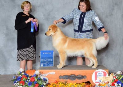 Monroe - GR - 2019-10 - Winners Bitch 9-12 month puppy class