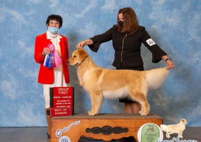 Monroe - Golden Retriever - 2020-10-31 Major
