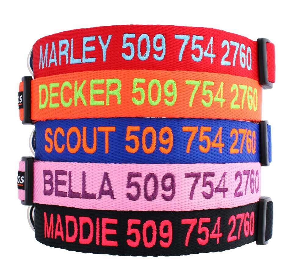 PERSONALIZED-COLLAR