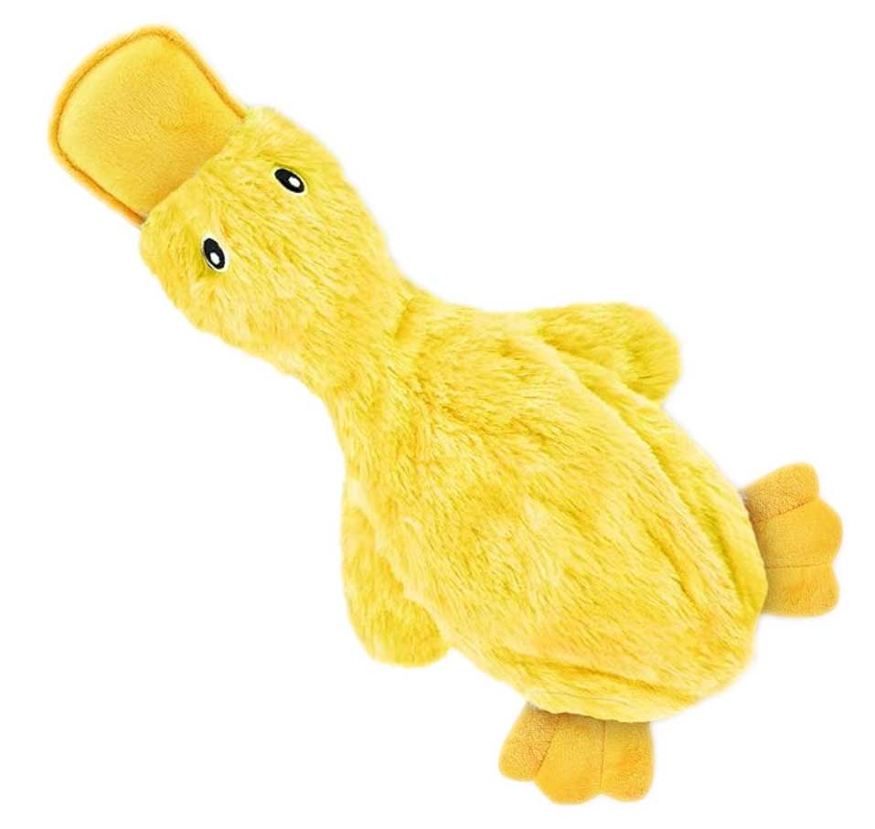 Pet Toys