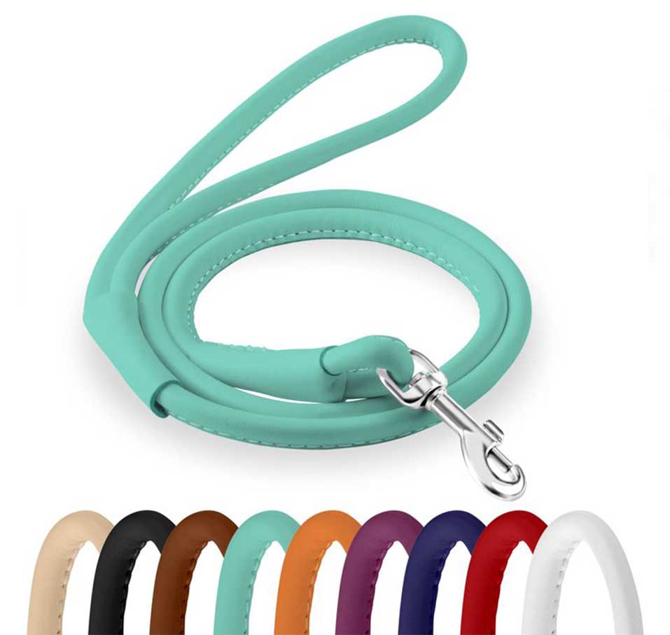 ROLLED-LEATHER-LEASH