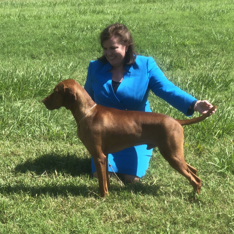 Woman in a blue-green suite showing a beautiful Vizsla