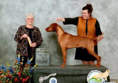 Reacher - Vizsla - 2020-03 - NEW Grand Champion - Best of Breed