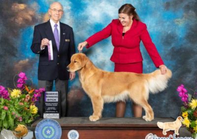 Remi - 2021-07 wins Reserve Winner's Bitch in San Antonio TX