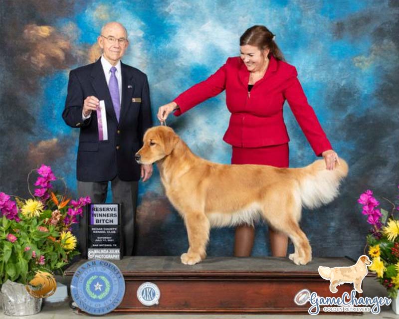 Remi - 2021-07 wins Reserve Winner's Bitch in San Antonio TX