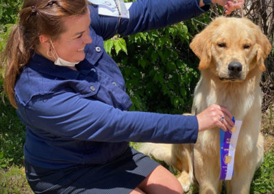 Woman holding a ribbon in front of a young female golden retriever