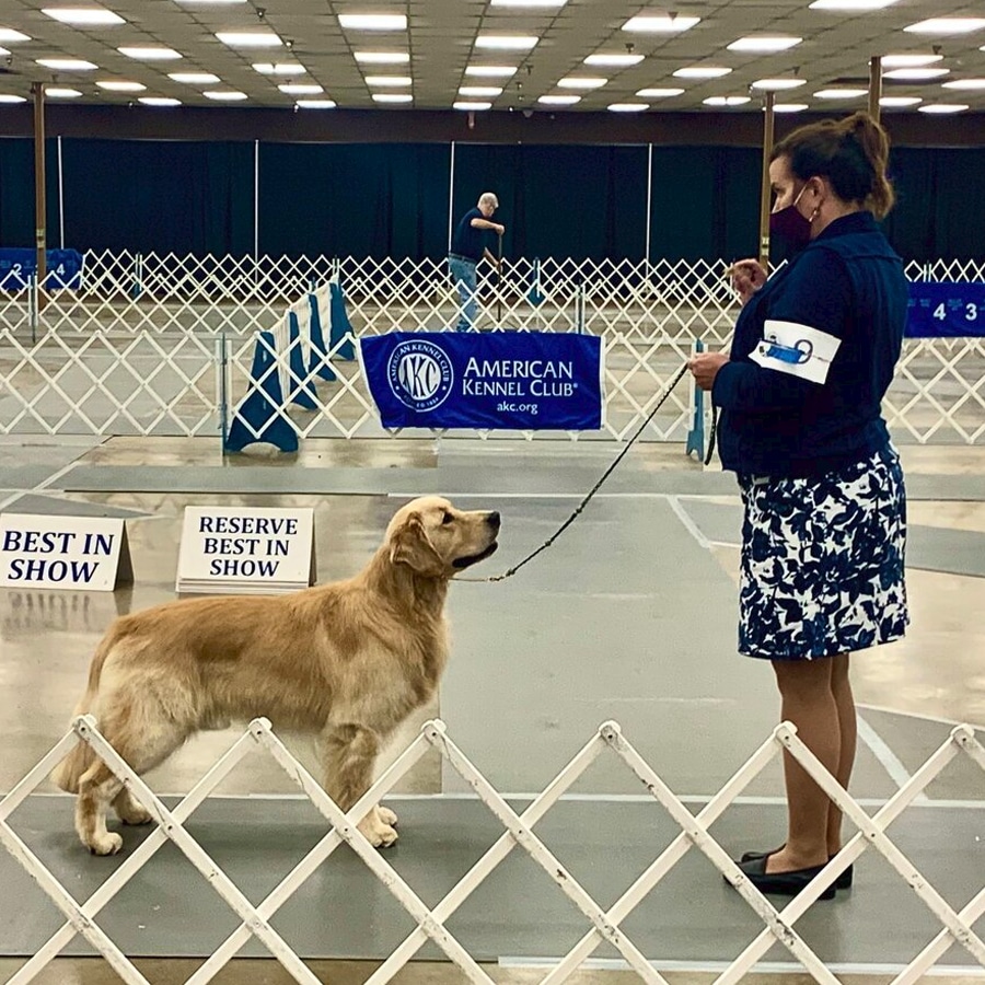 Wyatt-2020-08-Jackie and Wyatt Owner Handler Best of Show Ring