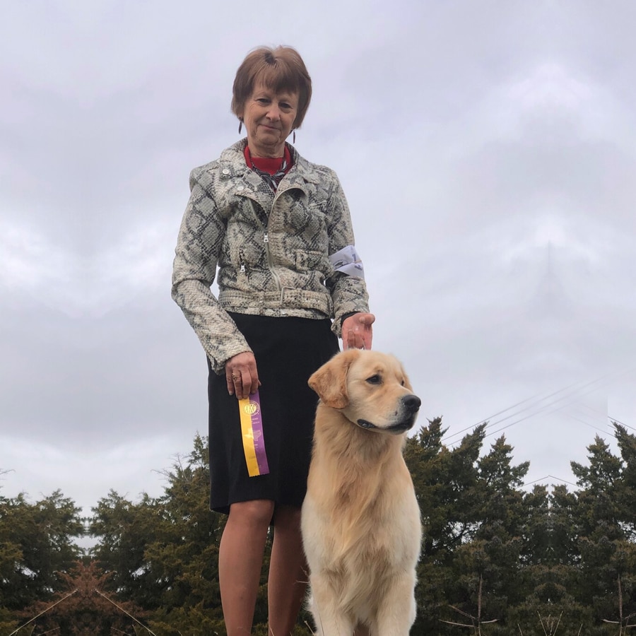 Wyatt - 2020-08 - Owner Handled Best in Show Ring