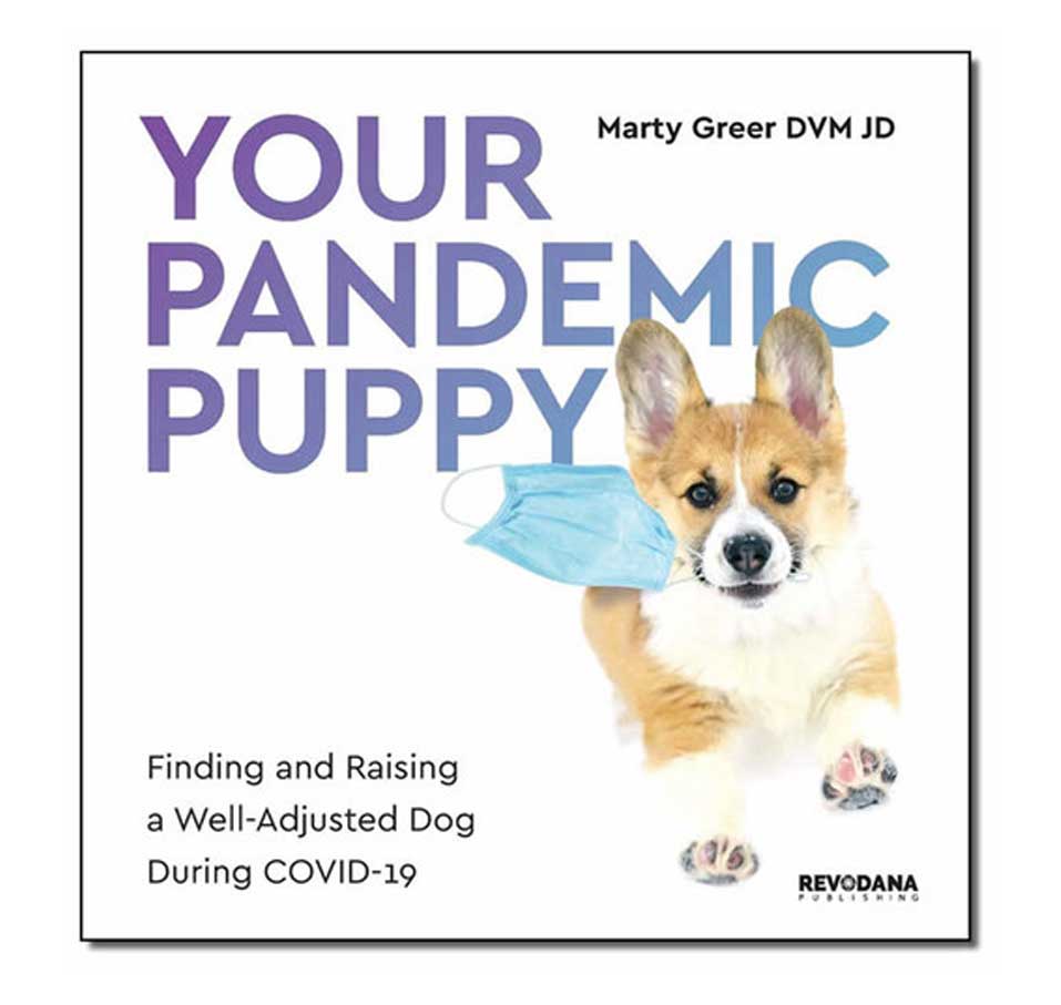 Your Pandemic Puppy