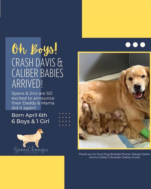 Crash Davis & Caliber Babies Arrived!